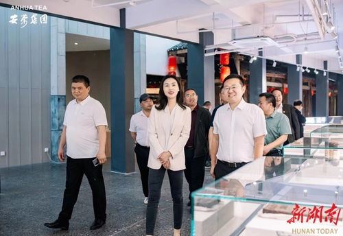 永定區(qū)工商聯(lián)推動民企‘走出去，請進(jìn)來’，助力經(jīng)濟(jì)與文化雙騰飛